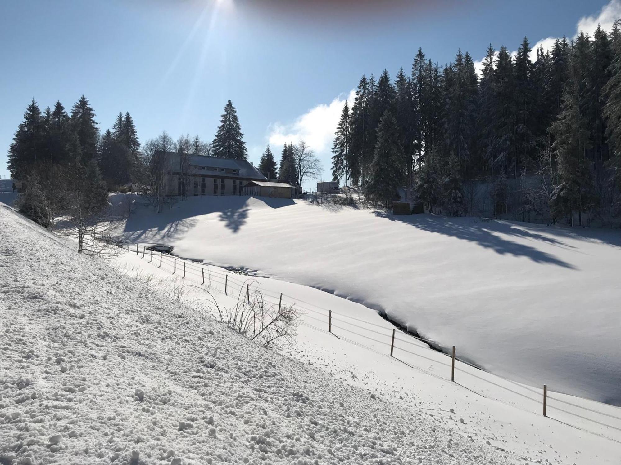 Waldhotel Auerhahn "Hochkopfhaus" Todtnau Exterior photo