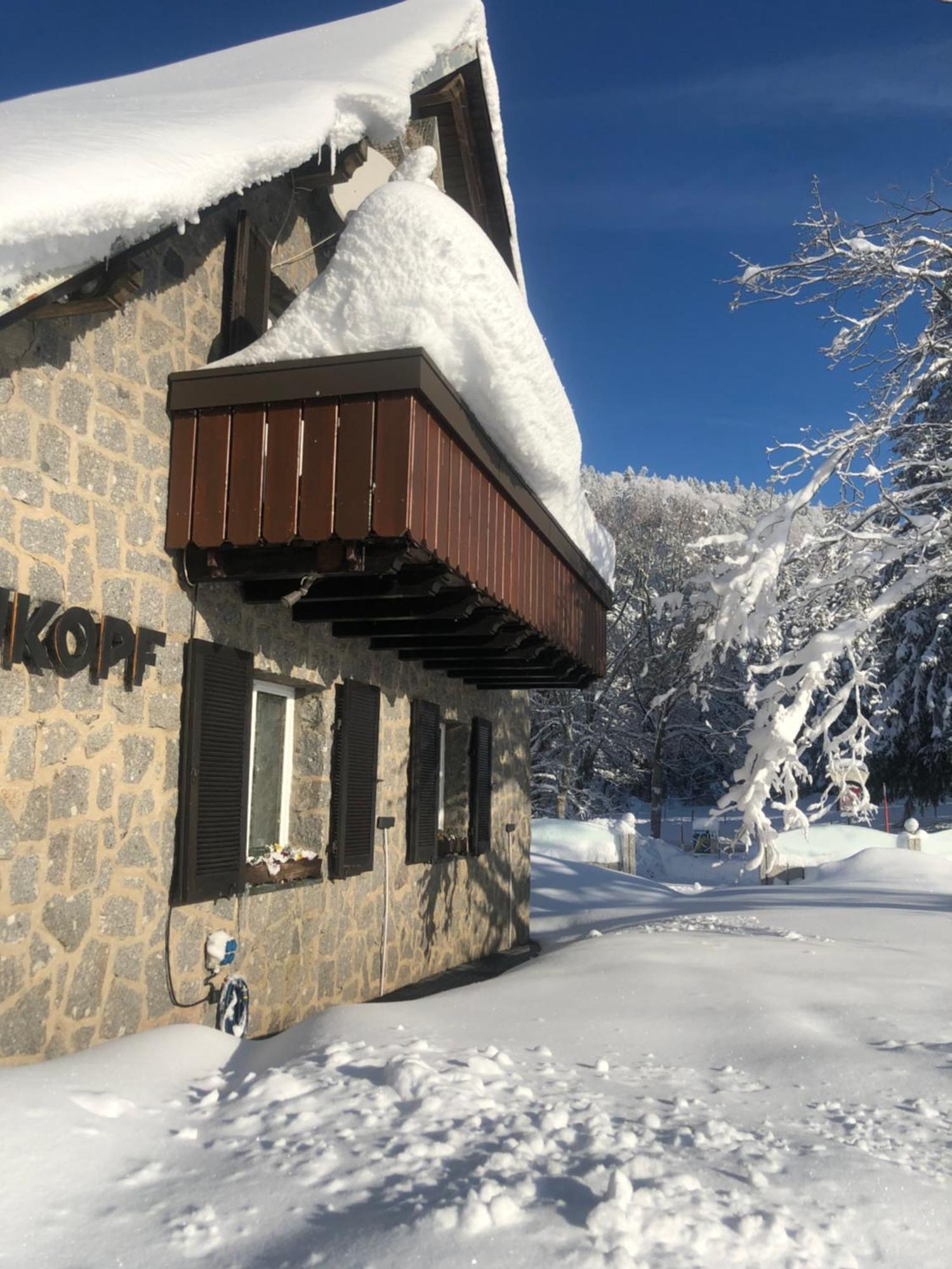 Waldhotel Auerhahn "Hochkopfhaus" Todtnau Exterior photo